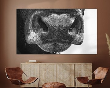 Nez d'un taureau en noir et blanc sur Martijn van Dellen
