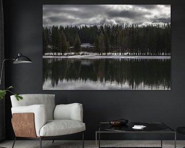 Bomen weerspiegelen in het meer | Yellowstone National Park | Amerika van Kimberley Helmendag