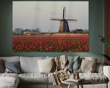 Tulpen en een molen van Erik Graumans