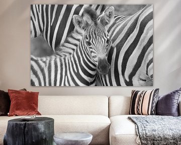Zwart/Wit baby zebra van Marijke Arends-Meiring