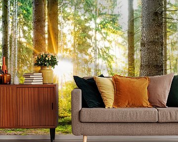 Beautiful forest by Günter Albers