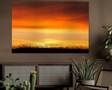 Sonnenuntergang am Myvatn - Island von Arnold van Wijk