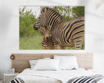 Zebra veulen van Marijke Arends-Meiring