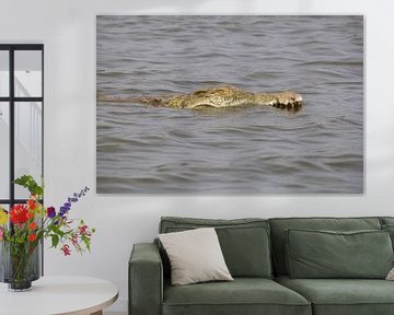 Crocodile in Sunset Dam, kruger national park, south africa by Marijke Arends-Meiring