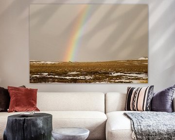 Kleurrijke regenboog in IJsland van Renske Breur