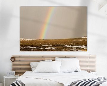 Kleurrijke regenboog in IJsland van Renske Breur