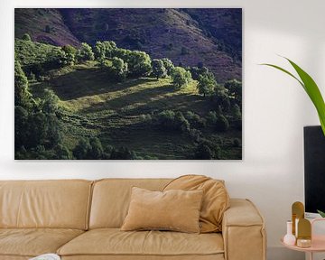 Paysage de montagne dans les Pyrénées sur Martijn Joosse