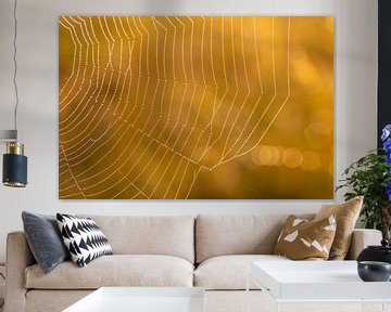 Spinnenweb met ochtenddauw en gouden achtergrond van Renske Breur