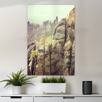 Rock formation in Saxon Switzerland