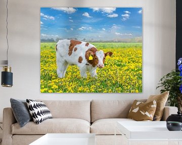 Veau de couleur rougeâtre dans une prairie hollandaise avec des pissenlits jaunes fleuris.
