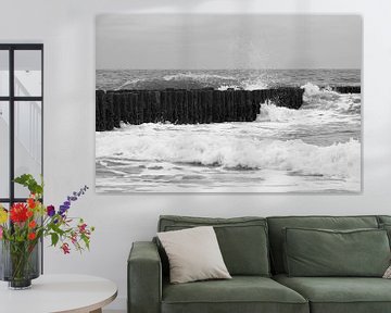 Breakwater by MSP Canvas