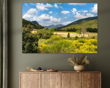 Typische Landschaft mit Bergen und Blumen in Südfrankreich von Martijn Joosse