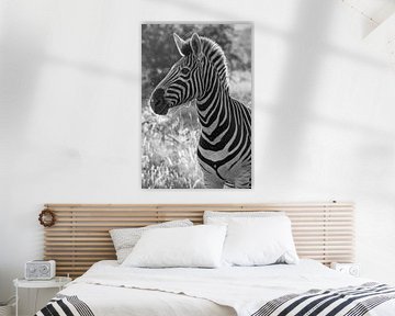 zwart/wit zebra, krugerpark zuid afrika van Marijke Arends-Meiring