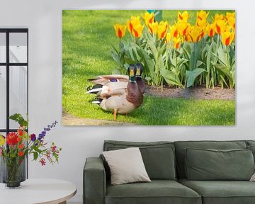 Enten und Tulpen von Marijke Arends-Meiring