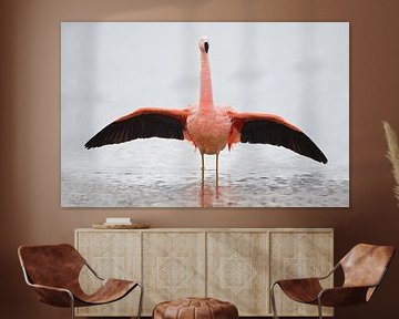 Flamingo in Nederlands water van Menno Schaefer