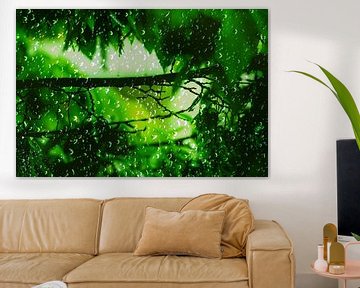 Raindrops falling in love with green leaves van Michael Nägele
