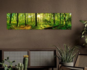 Panorama de la forêt avec des rayons de soleil sur Günter Albers