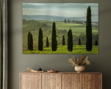 The Tuscan landscape