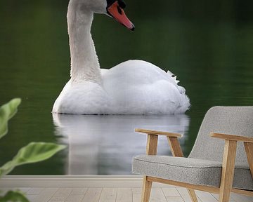 Swan by Menno Schaefer