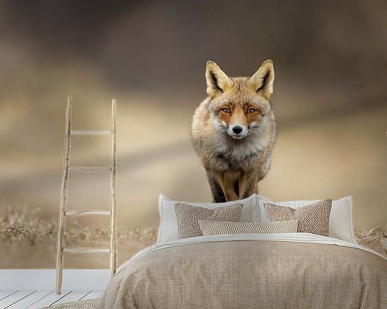 Aperçu de la chambre