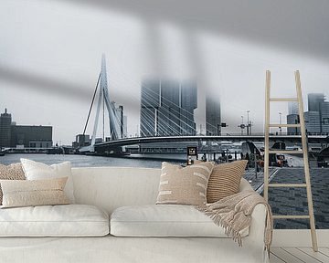 Rotterdam architecture on a misty day, Netherlands by vedar cvetanovic