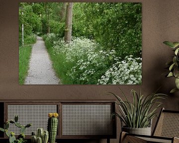 Printemps dans la forêt avec des fleurs épanouies sur Tjamme Vis