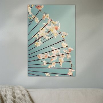 Les cerisiers en fleurs au Japon sur Pascal Deckarm