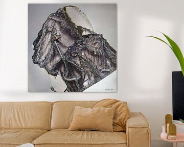 "Lace 4" by Rein Bijlsma Art