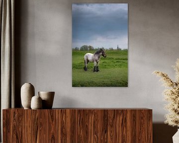 Pferd mit Kirche von Moetwil en van Dijk - Fotografie