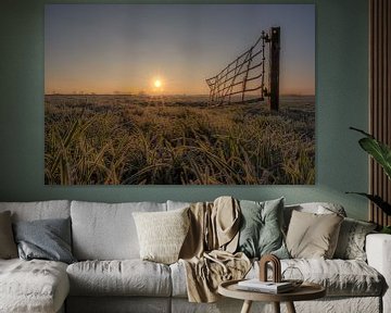 Hekwerk weiland met zon sur Moetwil en van Dijk - Fotografie