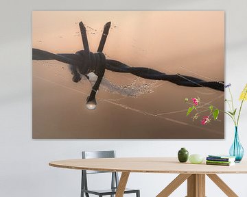 Prikkeldraad met spinnenweb en waterdruppel by Moetwil en van Dijk - Fotografie