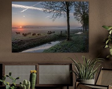 Schapen zonsopkomst bij Ommeren van Moetwil en van Dijk - Fotografie