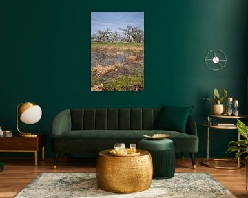 Schapen onder fruitbomen by Moetwil en van Dijk - Fotografie