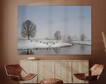 Schapen in winters tafereel sur Moetwil en van Dijk - Fotografie