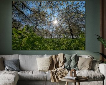 Bloesem(bos) von Moetwil en van Dijk - Fotografie