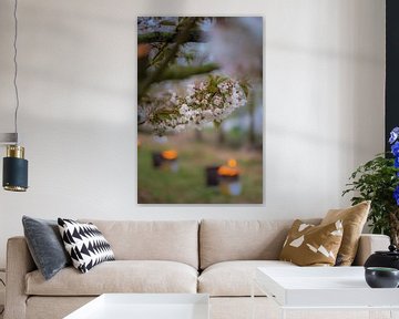 Vuurpotten tussen kersenbomen by Moetwil en van Dijk - Fotografie