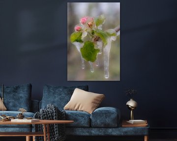 Frozen blossom - sometimes you have to isolate to protect by Moetwil en van Dijk - Fotografie