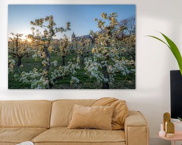 Kerk tussen zonnige fruitboomgaard