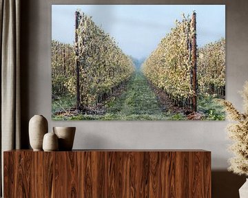 Bevroren fruitboomgaard van Moetwil en van Dijk - Fotografie