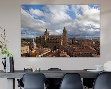 Oude en nieuwe kathedraal met universiteit, Salamanca, Castilla y León, Spanje van Torsten Krüger