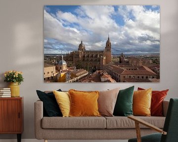 Oude en nieuwe kathedraal met universiteit, Salamanca, Castilla y León, Spanje