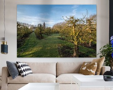 Kerk bij fruitboomgaard by Moetwil en van Dijk - Fotografie