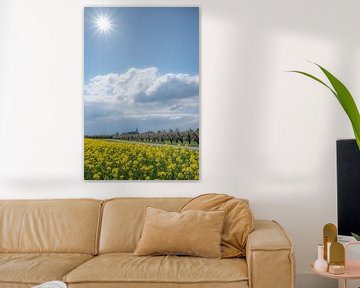 Kerk Erichem met fruitboomgaard en koolzaadveld sur Moetwil en van Dijk - Fotografie