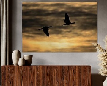 Vogel silhouet met zonsopkomst. van Tim Link
