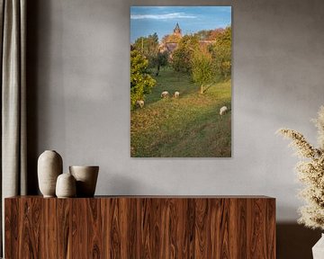 Schapen bij kerk van Lienden sur Moetwil en van Dijk - Fotografie