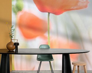 Poppies - 1 by Danny Budts