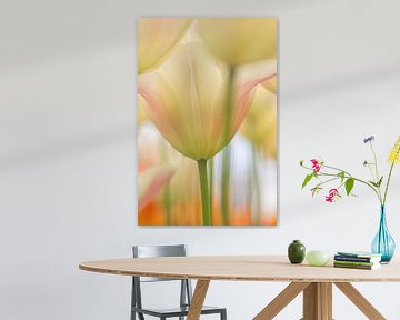 Tulpen in pastel von Teuni's Dreams of Reality