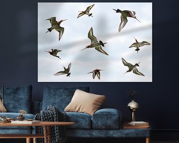 Godwits dans le ciel sur Marcel van Balken