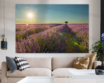 Lavendel zomerzon van Elles Rijsdijk