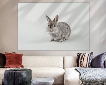 The beauty of grey